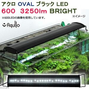 アクロ ＯＶＡＬブラック ＬＥＤ ６００ ３２５０ｌｍ ＢＲＩＧＨＴ 水槽 照明 ライト 熱帯魚 アクアリウムの商品画像