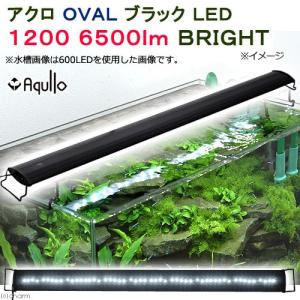 アウトレット品　アクロ　ＯＶＡＬブラック　ＬＥＤ　１２００　６５００ｌｍ　ＢＲＩＧＨＴ　水槽　照明　ライト　熱帯魚　アクアリウム　沖縄別途送料　訳あり