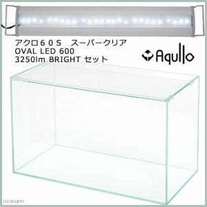 ニッソー ニッソー スティングレー600 LED熱帯魚セット 60cm