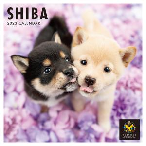 壁掛けカレンダー PICTWAN 2023年 柴 カレンダー 犬 柴犬