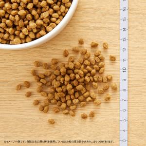 ニュートロ ナチュラルチョイス 超小型犬用 エ...の詳細画像5