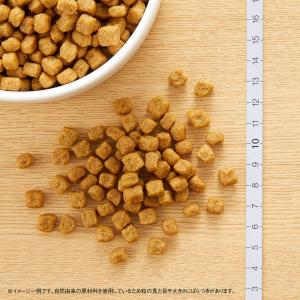 送料無料 ニュートロ ナチュラルチョイス 小型...の詳細画像5