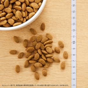 送料無料 ニュートロ シュプレモ 小型犬用 成...の詳細画像4