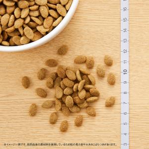 送料無料 ニュートロ シュプレモ 超小型犬〜小...の詳細画像4