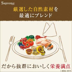 送料無料 ニュートロ シュプレモ シニア犬用(...の詳細画像2