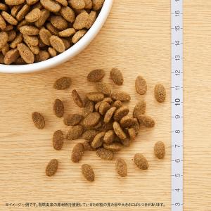 ニュートロ 猫 ナチュラルチョイス 穀物フリー...の詳細画像5