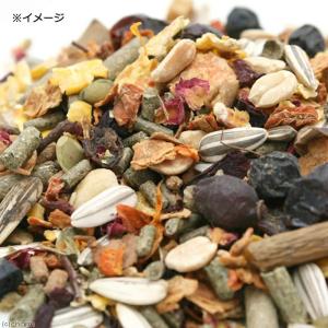 Vitapol プレミアム チンチラのための総...の詳細画像1