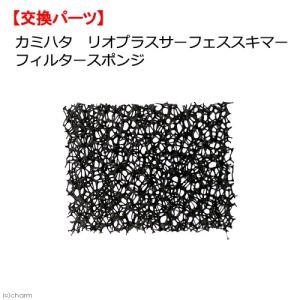 カミハタ　リオプラス　サーフェススキマー用　フィルタースポンジ