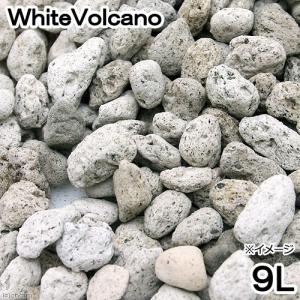 No．122 WhiteVolcano 9リットル ろ材 鉢底石 お一人様5点限り