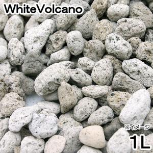 Ｎｏ．１２０　ＷｈｉｔｅＶｏｌｃａｎｏ　１リットル　ろ材　鉢底石｜chanet