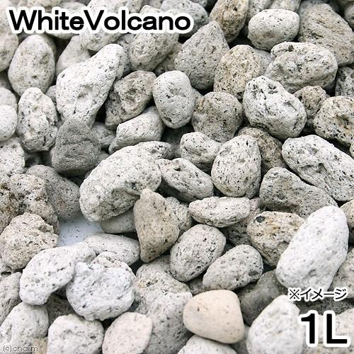 Ｎｏ．１２０　ＷｈｉｔｅＶｏｌｃａｎｏ　１リットル　ろ材　鉢底石