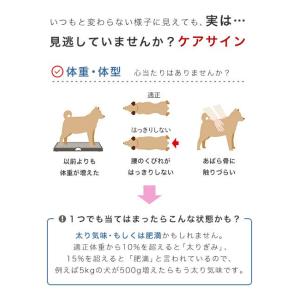 ロイヤルカナン 減量したい大型犬用 マキシ ラ...の詳細画像2
