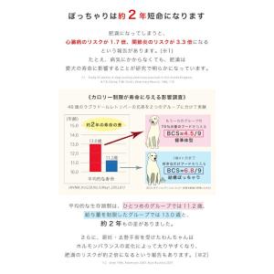 ロイヤルカナン 減量したい大型犬用 マキシ ラ...の詳細画像3