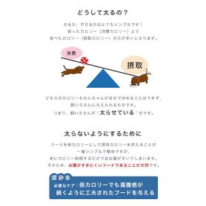 ロイヤルカナン 減量したい大型犬用 マキシ ラ...の詳細画像4