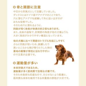 ロイヤルカナン ダックスフンド 中・高齢犬用 ...の詳細画像2