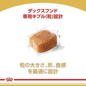 ロイヤルカナン ダックスフンド 成犬用 3kg...の詳細画像5