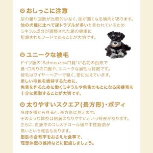 ロイヤルカナン ミニチュアシュナウザー 成犬・...の詳細画像3