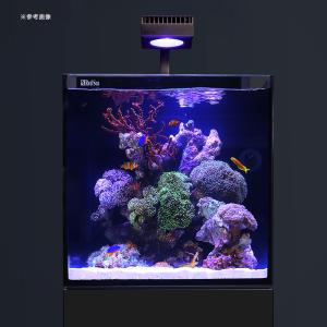 レッドシー MAX NANO G2 ペニンシュ...の詳細画像3