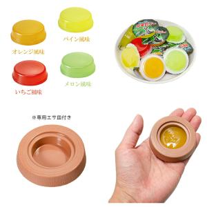 マルカン 昆虫ゼリー フルーツ農園 フラット25の詳細画像1