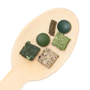 (エビ)ターコイズシャドーシュリンプ(5匹)+...の詳細画像3