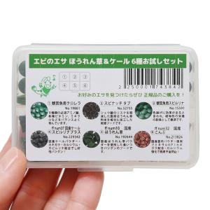 (エビ)ターコイズシャドーシュリンプ(5匹)+...の詳細画像4