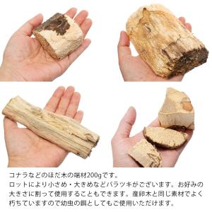 昆虫がしがみつける足場木 バラ 200g入り ...の詳細画像1