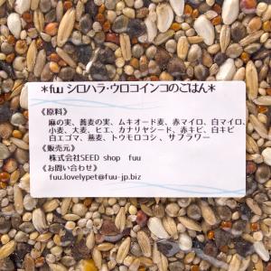 fuu オリジナル配合 シロハラ・ウロコインコ...の詳細画像2