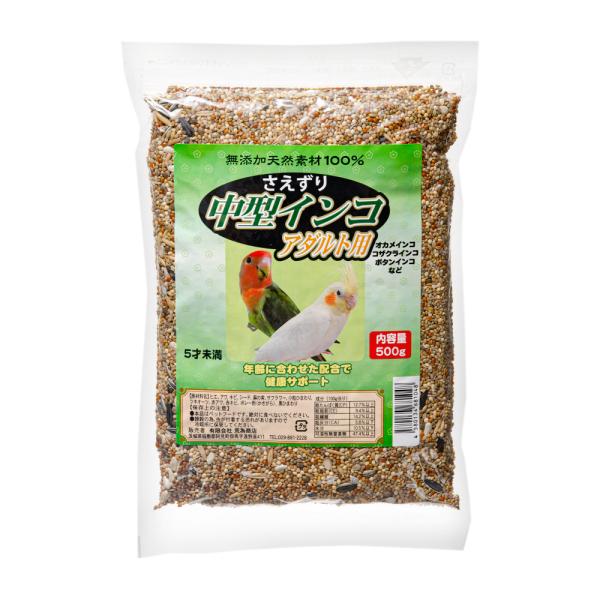 荒為商店　中型インコ　アダルト　５００ｇ