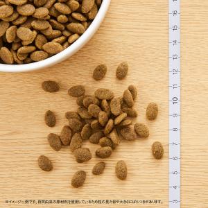 ニュートロ 猫 ナチュラルチョイス 穀物フリー...の詳細画像5