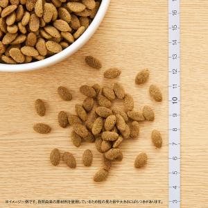 ニュートロ 猫 ナチュラルチョイス 室内猫用 ...の詳細画像5