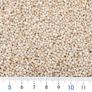 NPF エクセル エゴマ 120g カナリアに...の詳細画像1
