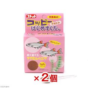コメット　コッピー　アカヒレ　はじめました　アカヒレのエサ　５ｇ（スプ−ン付）×２個