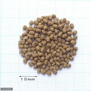 キョーリン のこのこカメさん 40g×2袋 餌...の詳細画像1