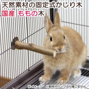 Leaf Corp かじり木 天然素材の固定式かじり木 国産なしの木 おもちゃ