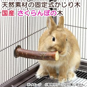 天然素材の固定式かじり木 国産さくらんぼの木 かじり木 おもちゃ