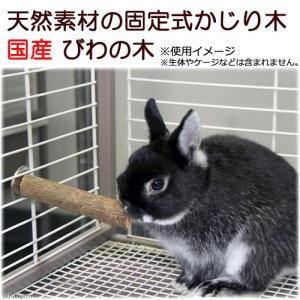 天然素材の固定式かじり木 国産びわの木 かじり木 おもちゃ