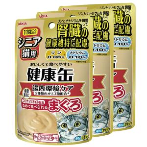 アイシア　シニア猫用　健康缶パウチ　腸内環境ケア　４０ｇ　３袋