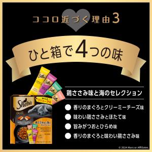 キャットフード シーバ デュオ 鶏ささみ味と海...の詳細画像4