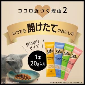 キャットフード シーバ デュオ 15歳以上 ク...の詳細画像3