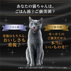 キャットフード シーバ デュオ 15歳以上 ク...の詳細画像5