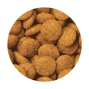 メディファス アドバンス 腎臓の健康維持 7歳...の詳細画像1