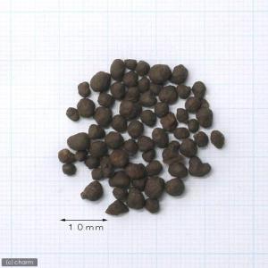 爬虫類牧場 パームマット 8L 3袋セット 爬...の詳細画像2