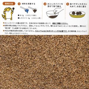 コオロギ レオバイト 100g コオロギ95%...の詳細画像1