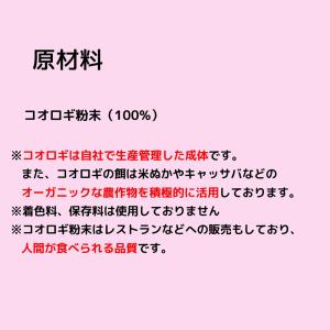 コオロギ レオバイト ピュア 100g コオロ...の詳細画像3