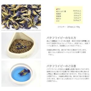 三晃商会 SANKO スーパーフード バタフラ...の詳細画像3