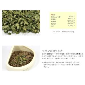 三晃商会 SANKO スーパーフード モリンガ...の詳細画像3