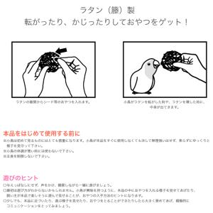 三晃商会 SANKO フォージング入門 ラタン...の詳細画像2
