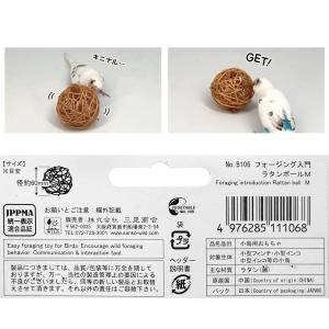 三晃商会 SANKO フォージング入門 ラタン...の詳細画像3