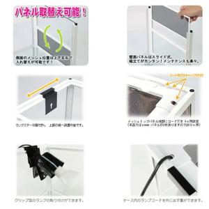 リクガメの基本飼育セット お一人様1点限り 2個口の詳細画像1