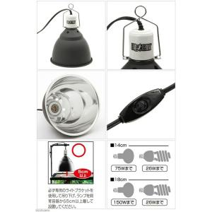 リクガメの基本飼育セット お一人様1点限り 2個口の詳細画像2